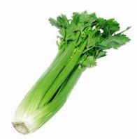 /album/productos/apio-jpg/