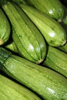 /album/productos/calabacitas-jpg/