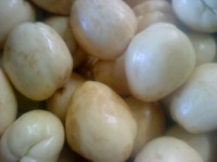 /album/productos/chayotes2-jpg/